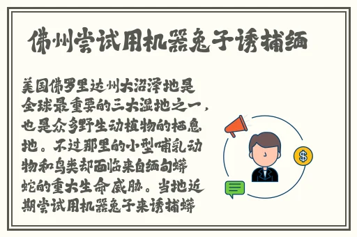 久久久久久**一区精品